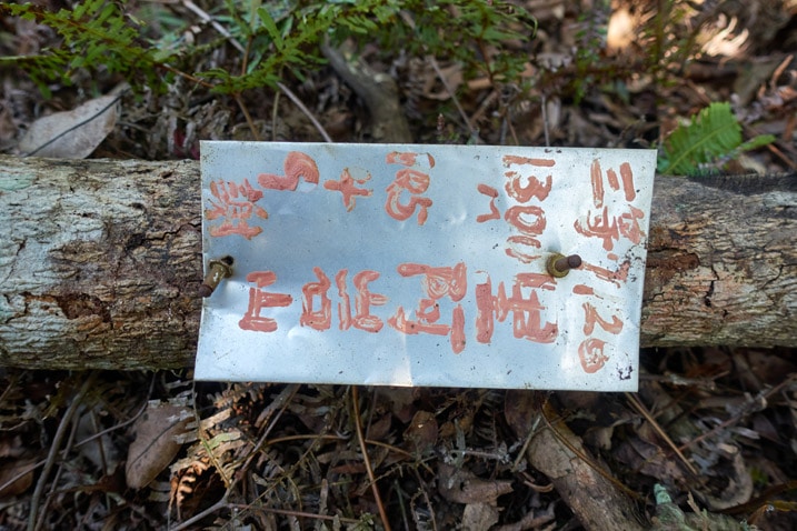 Metal sign attached to fallen tree branch - Chinese written on it