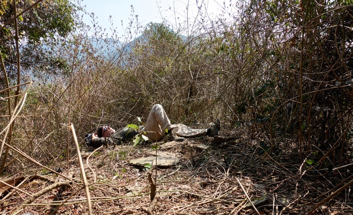Man lying down on mountain peak - many vines and overgrowth around him