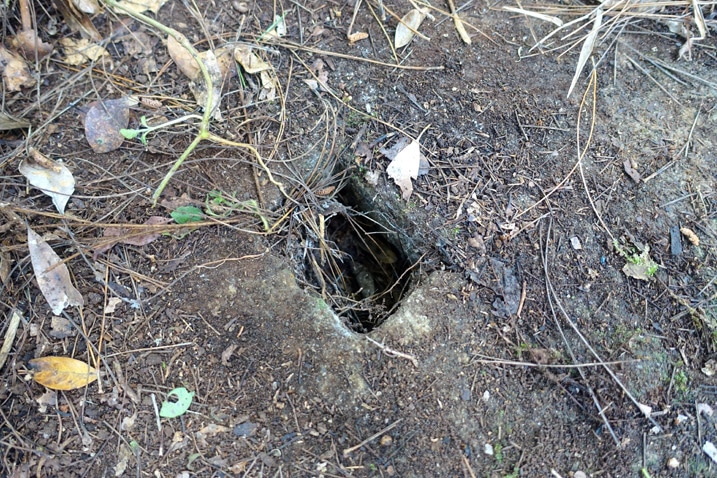 Square hole inside old concrete - dirt on top