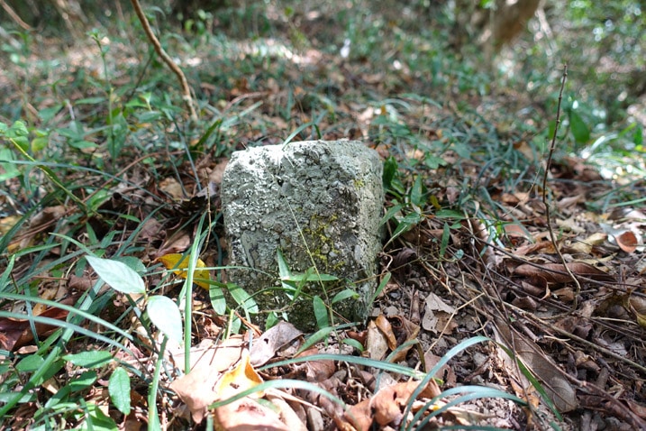 Closeup of square concrete marker in the ground