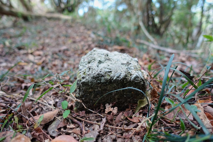 Closeup of square concrete marker in the ground