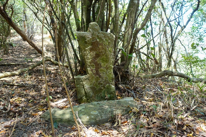 A notched stone sitting upright - large stone in front on ground -trees behind