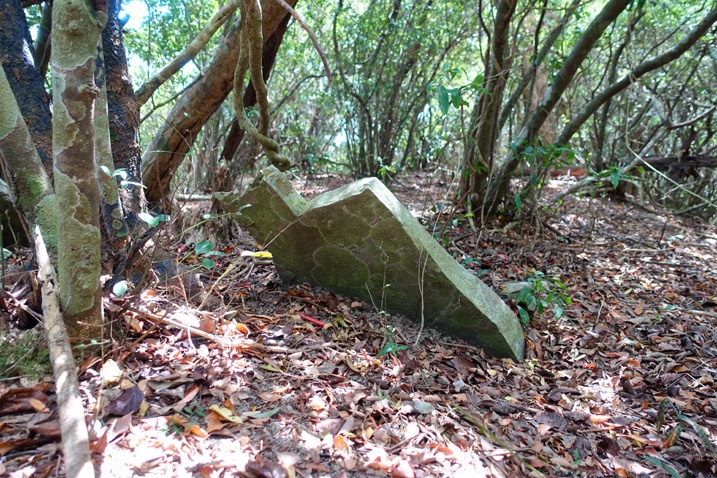 Stone lying sideways - trees behind it