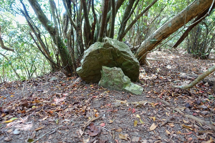 A large stone lying on a smaller one - trees behind