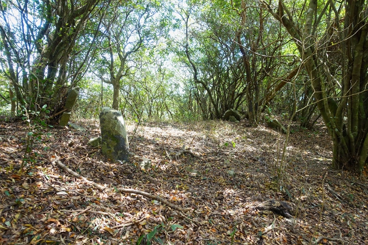Open area on mountain ridge with aboriginal stones