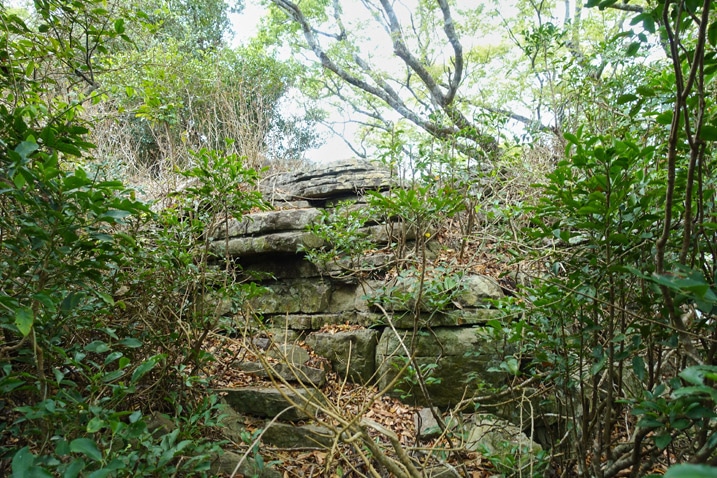 Rock feature with many trees and vegetation around it