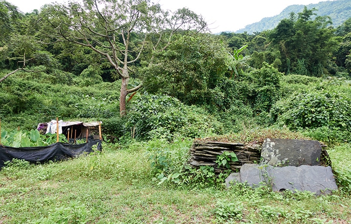 Mountain farmland - structure to the left - many trees