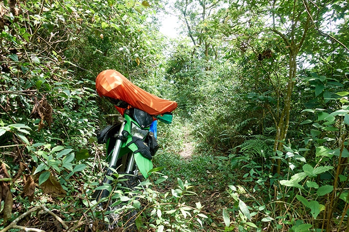 Motorcycle parked at side of trail - overgrowth