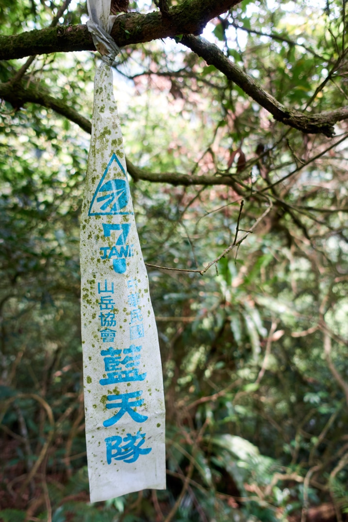 White trail ribbon attached to a tree