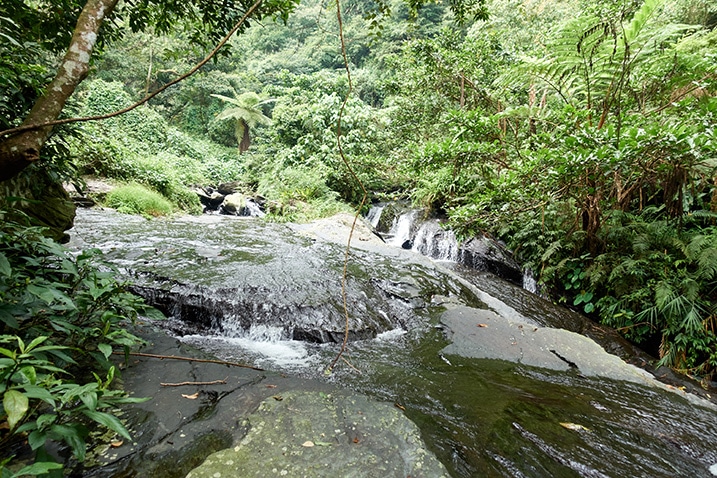 Mountain stream