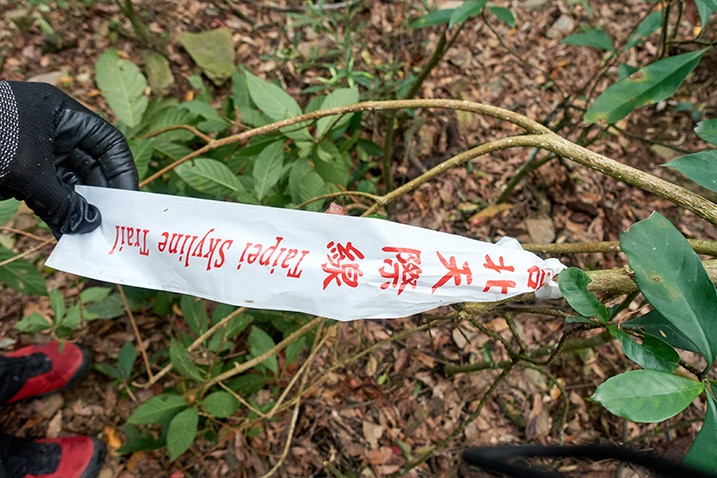 Hand holding white trail ribbon that's attached to a tree