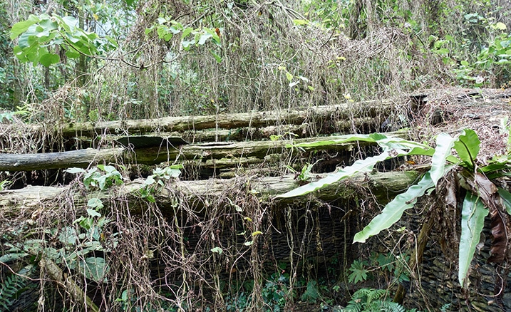 Broken roof of Old traditional style aboriginal style house