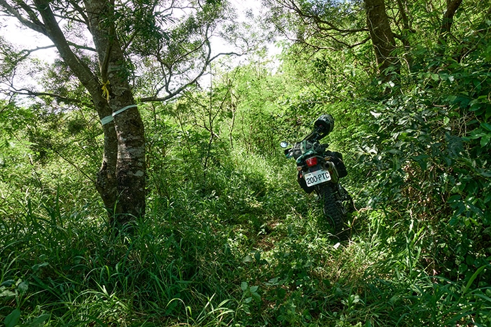 Overgrown mountain road with motorcycle parked in middle