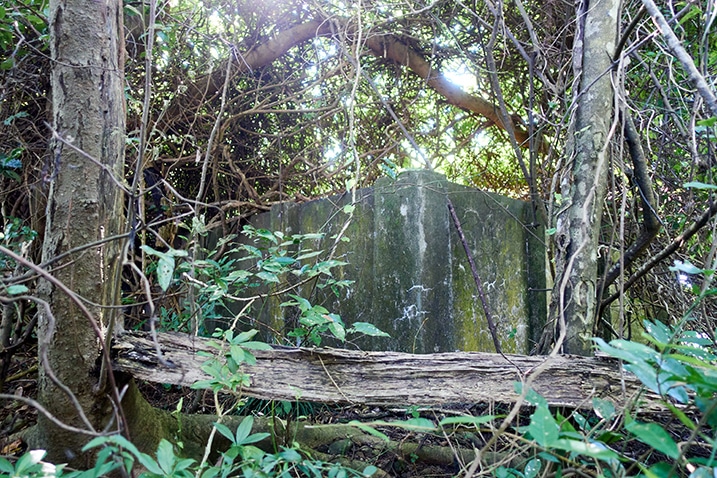 Square concrete structure covered by vines and trees - possibly old water container - PingBuCuoShan - 坪埔厝山