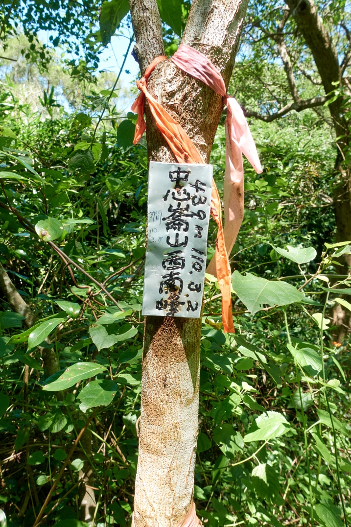 Closeup of small metal sign with Chinese writing attached to a tree - orange ribbons tied to tree