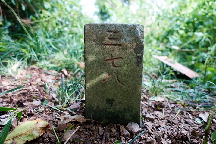 Closeup of triangulation stone for Caoshan - 草山