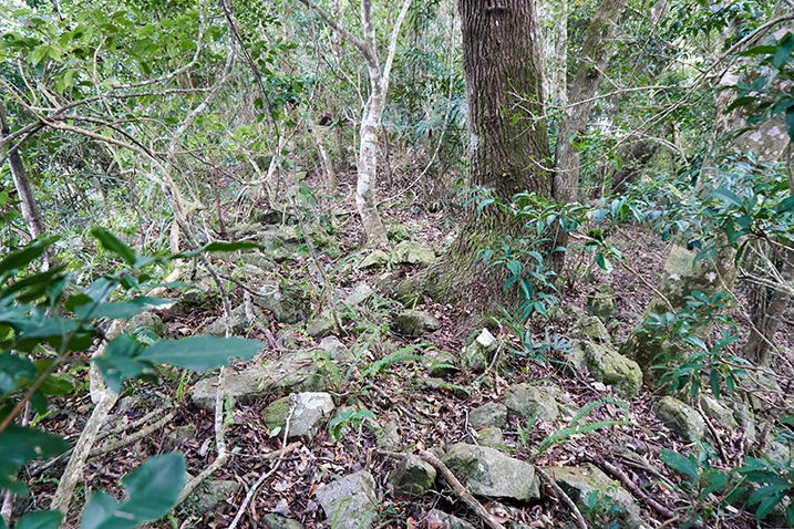 Many large rocks on mountain ridge - vines and trees - 我丹山東峰 Wodanshan East Peak