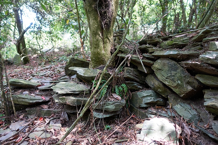 Stacked rocks falling near tree