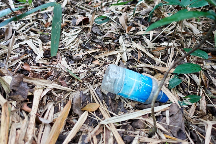 Small discarded water bottle on the ground